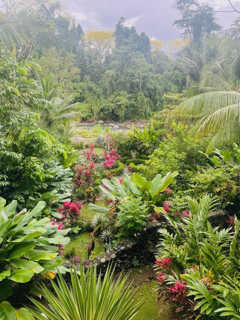 View (from property/room)