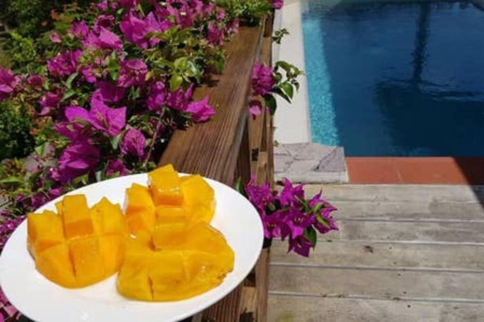 Kaye Mango Villa Villa in Caribbean