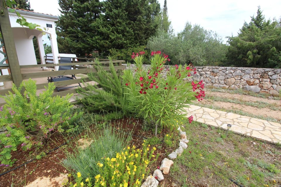 Location, children, Family