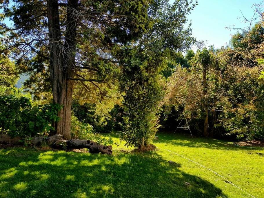 Day, Natural landscape, Garden, Garden view