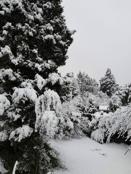 Natural landscape, Winter, Garden