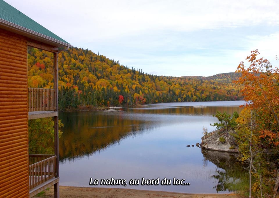 Lake view