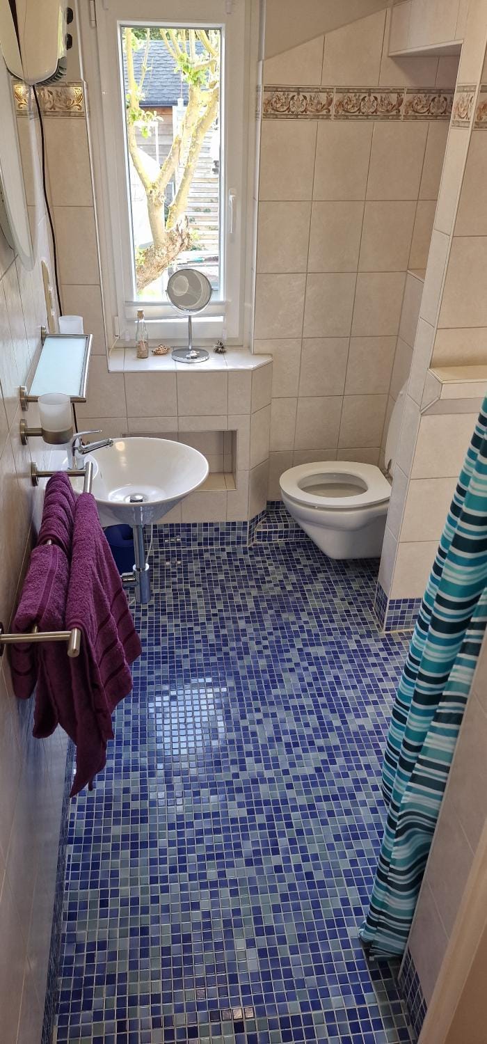 Shower, Toilet, Bathroom, towels