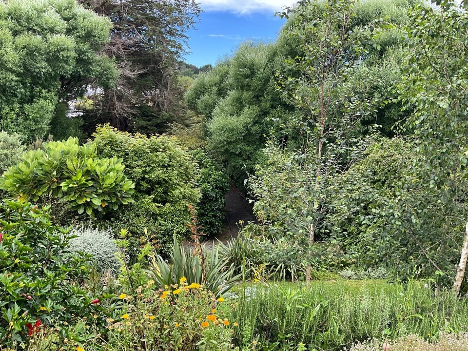Garden Apartment Apartment in Auckland Region