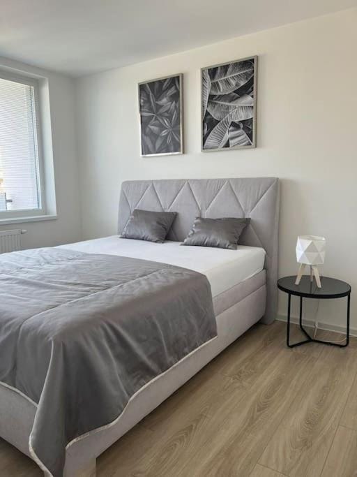 Apartmán Centrum , 7 minut pešo do centra Apartment in Slovakia