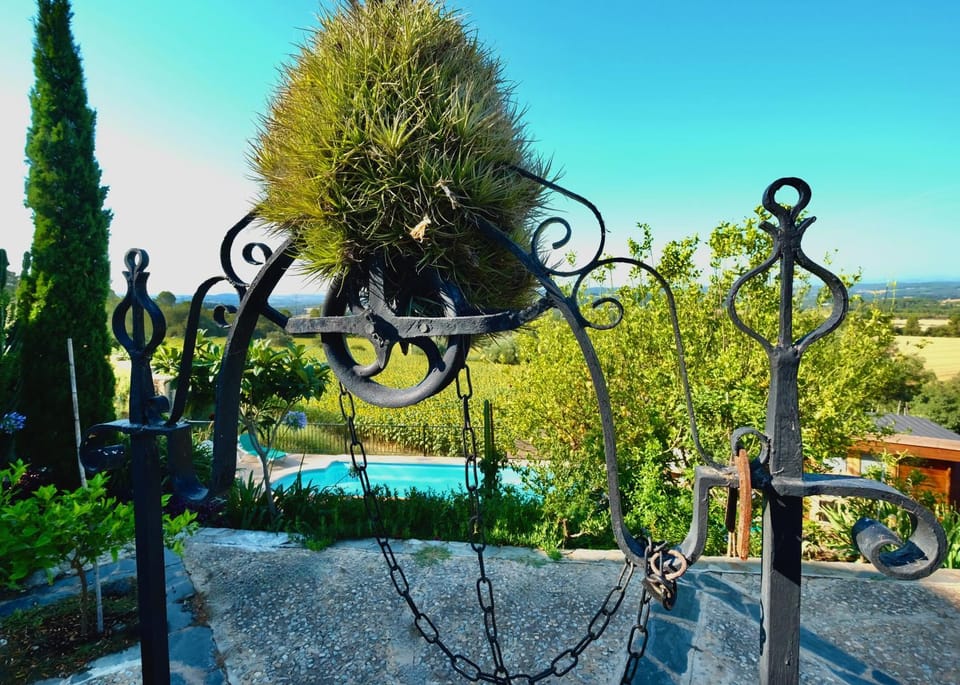 Natural landscape, Garden, Garden view, Pool view, Swimming pool