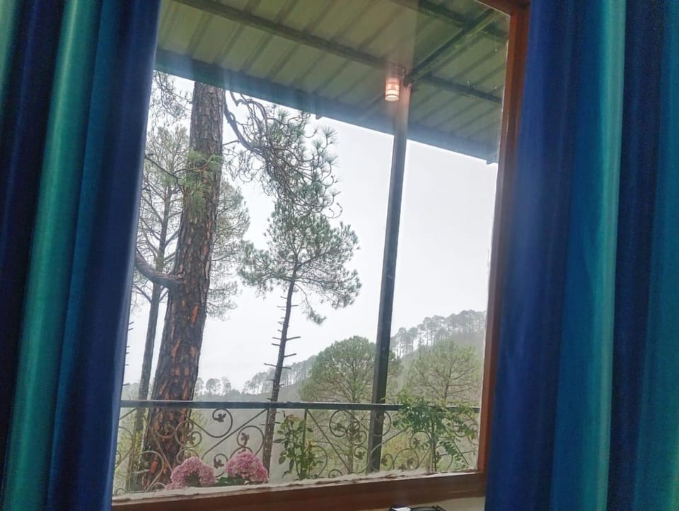 Spring, Natural landscape, View (from property/room), Mountain view
