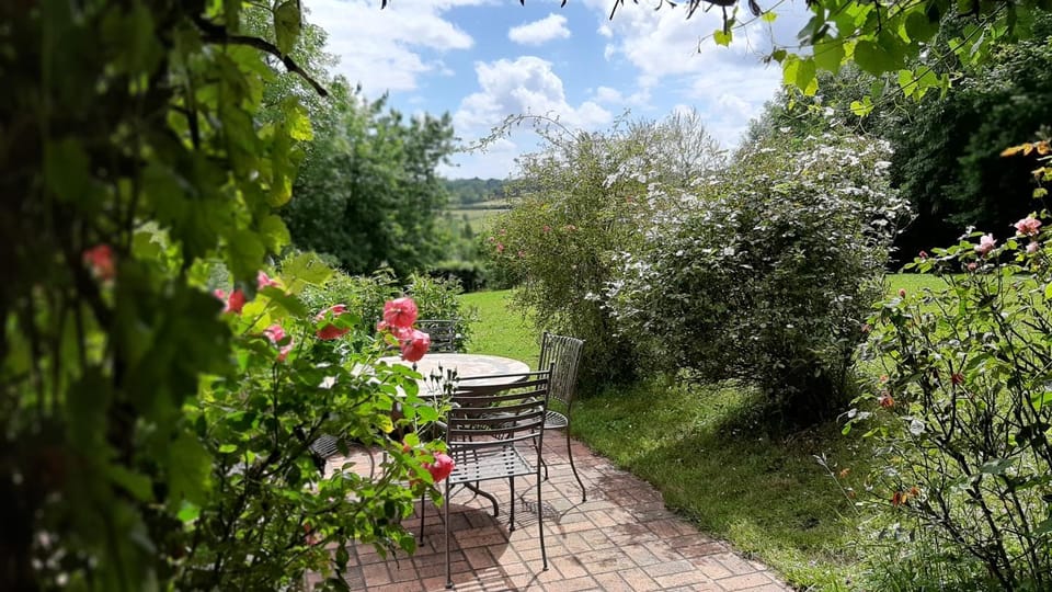 Property building, Patio, Garden view