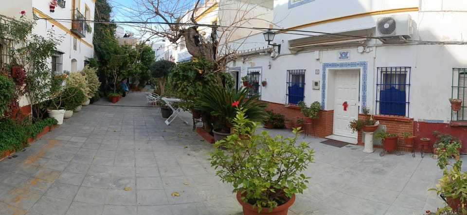 Property building, Garden view