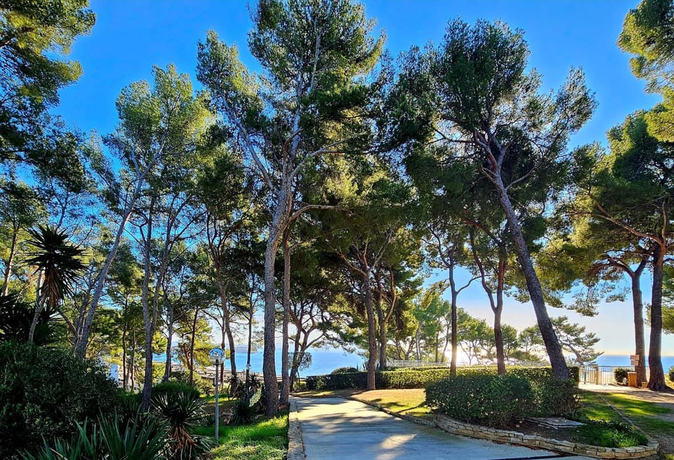 Day, Natural landscape, Garden, Garden view
