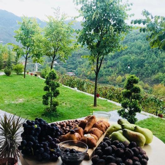 Bujtina Dini Bed and Breakfast in Europe