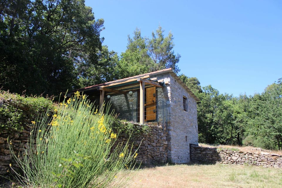 Property building, Garden view