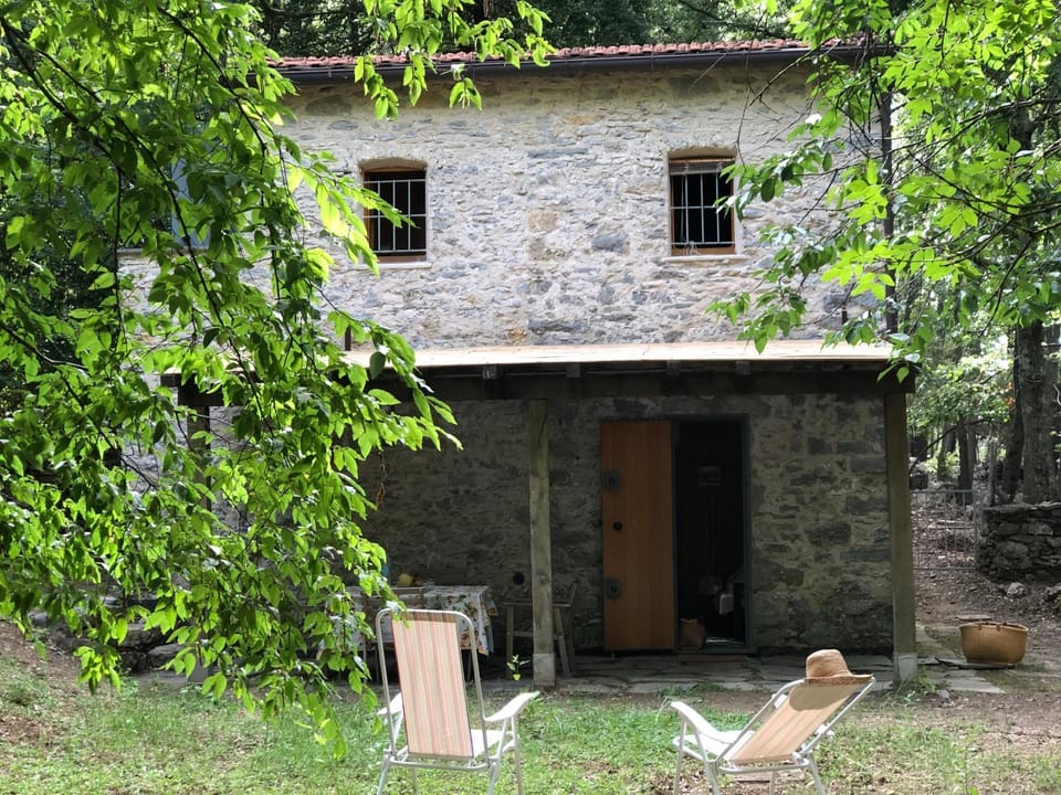 Property building, Day, Garden, Garden view