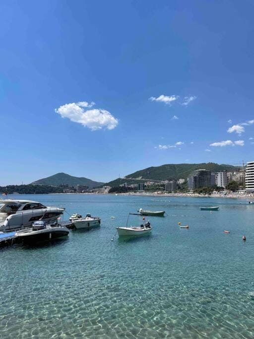 Golden Details Apartment Apartment in Budva Municipality