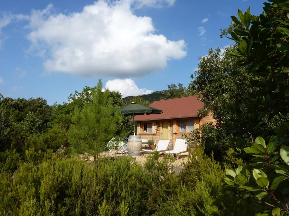 Gîtes à la Ferme - Hautes-Corbières House in Occitanie