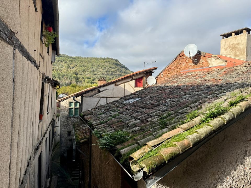 View (from property/room)