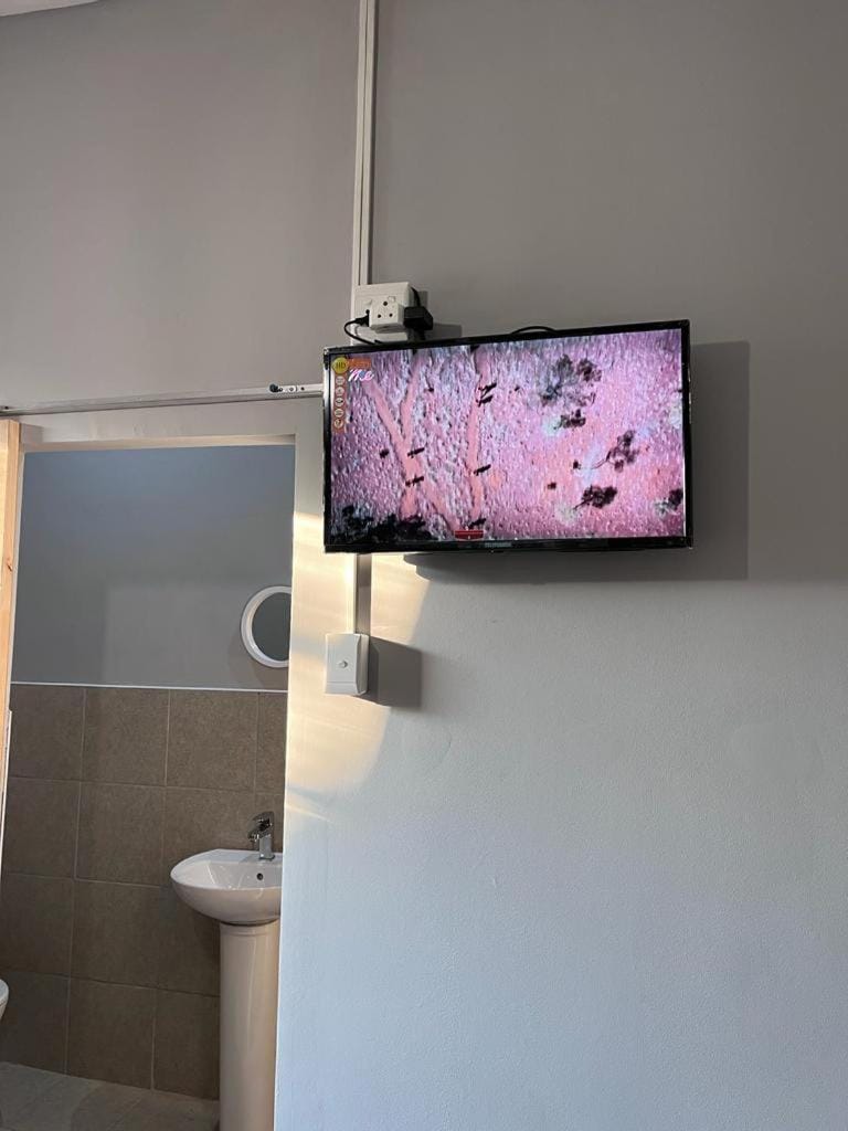 TV and multimedia