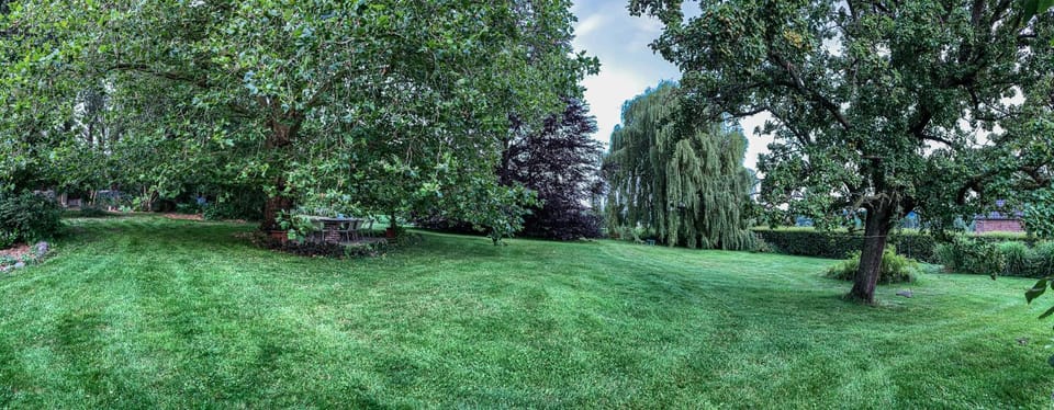 Natural landscape, Garden