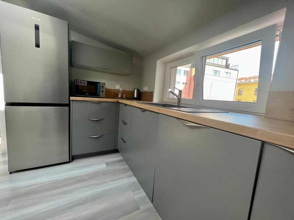 Kitchen or kitchenette, dishwasher, minibar, pet friendly, stove