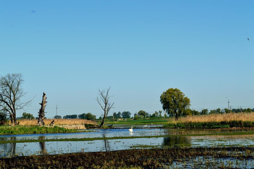 Natural landscape