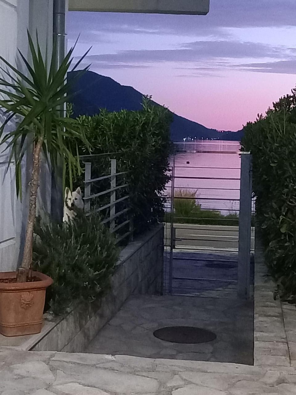 Patio, Sea view, Sunset