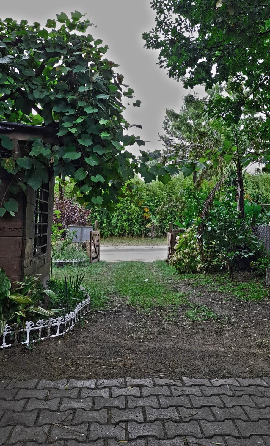 Garden, Garden view