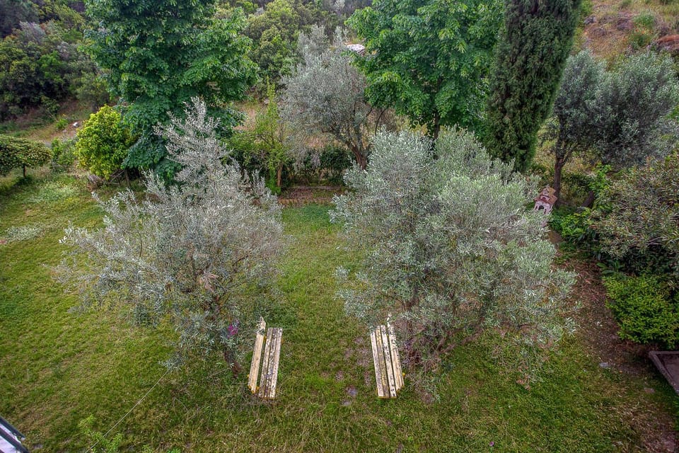 Place of worship, Garden, Garden