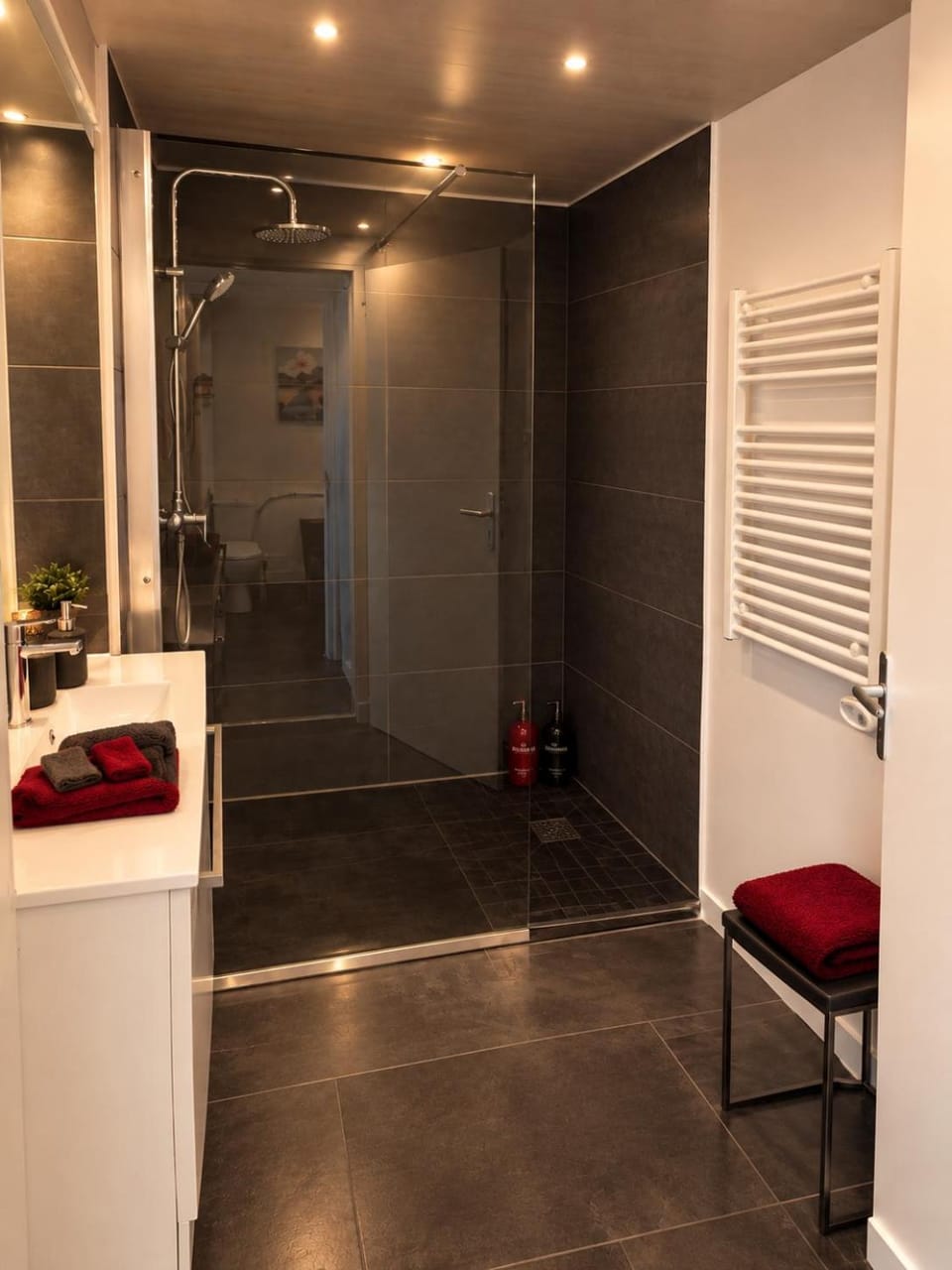 Le Leone - Wi-Fi Apartment in Bourgogne-Franche-Comté