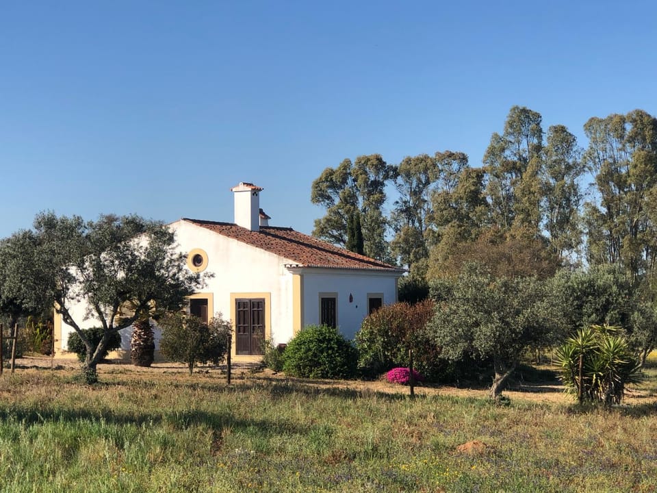 Property building, Day, Natural landscape, Garden