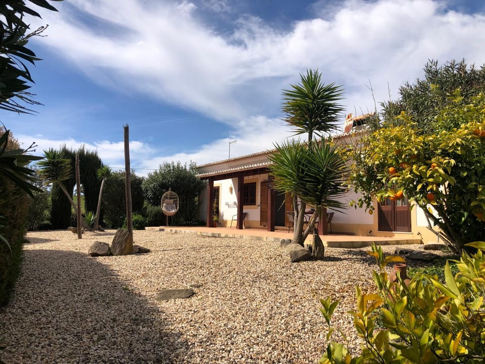 Property building, Day, Garden, Garden view