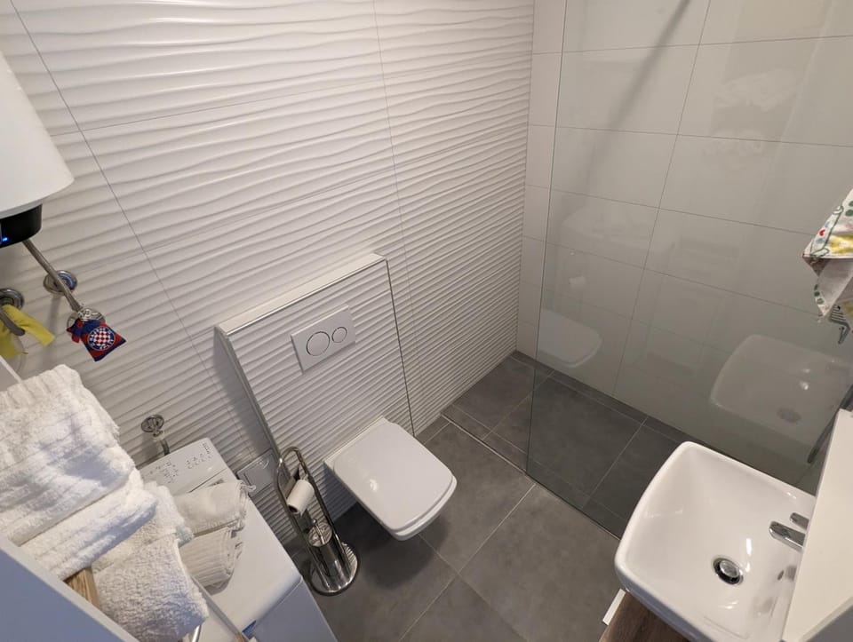 Shower, Toilet, Bathroom, towels