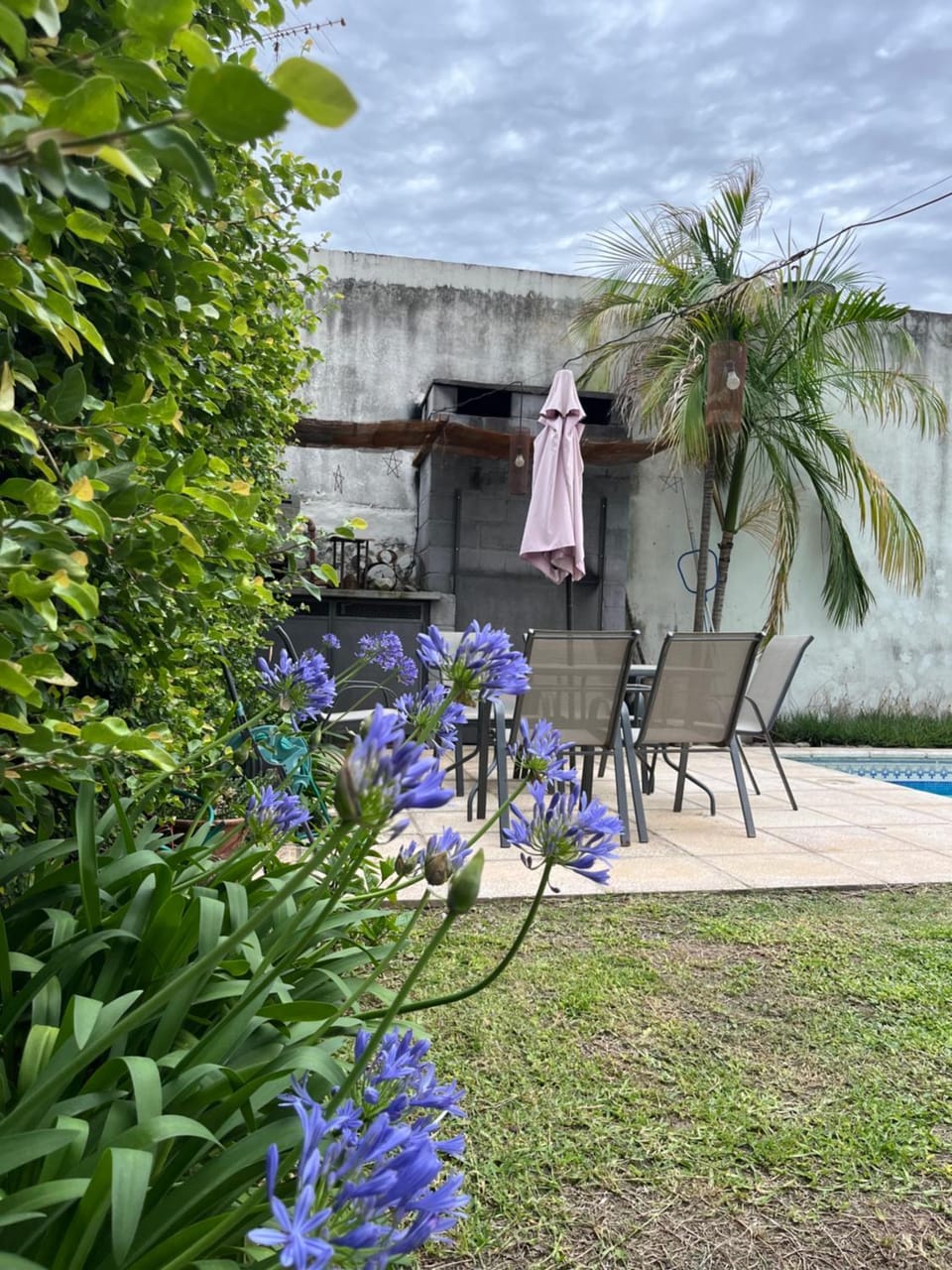 Patio, Garden, Garden view, Pool view