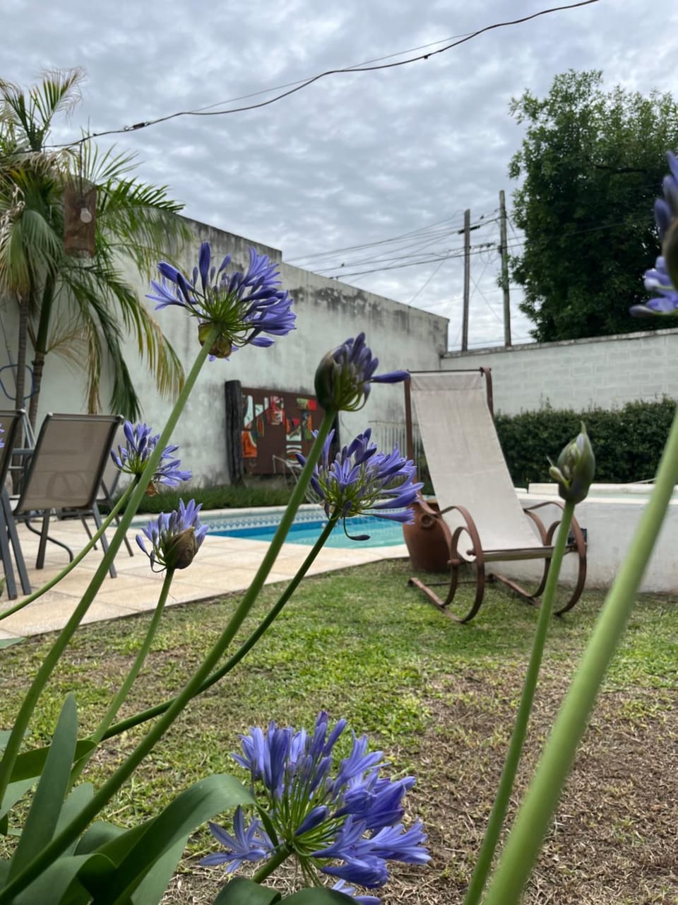 Garden, Garden view, Pool view