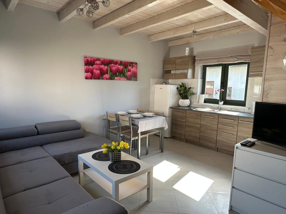 Domki i apartamenty Mila House in West Pomeranian Voivodeship, Poland