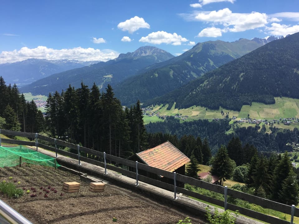 Mountain view