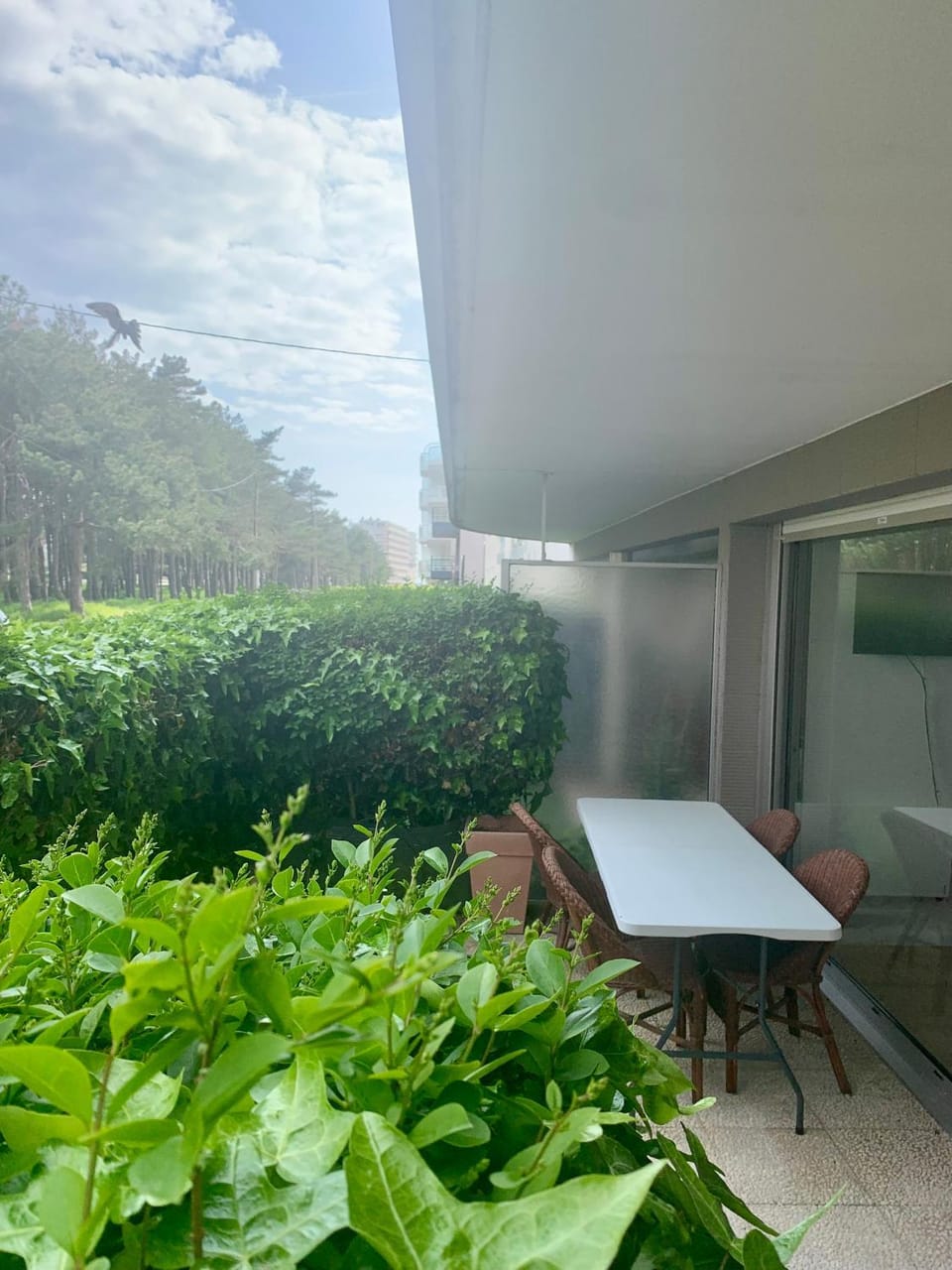 Patio, Dining area