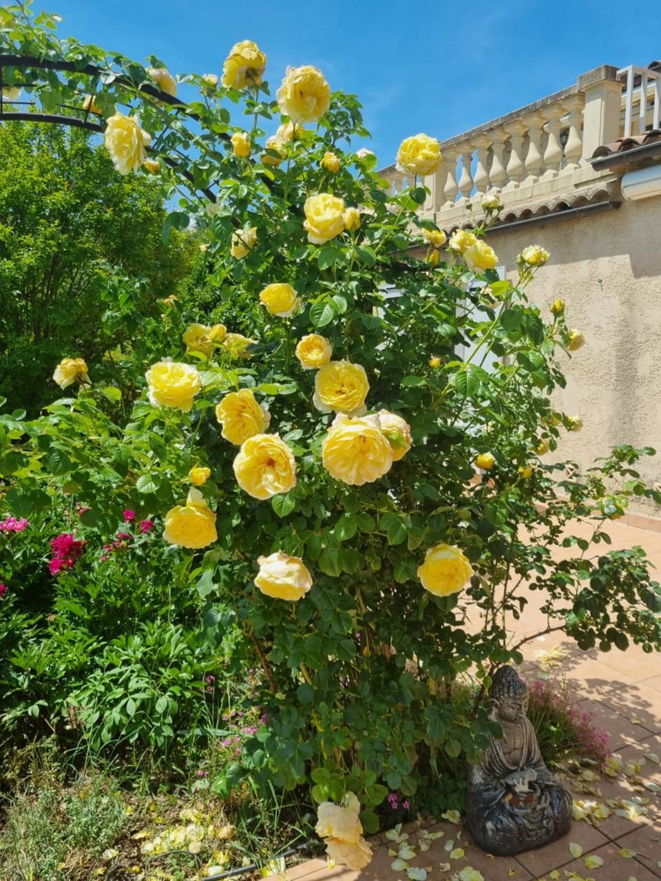 Charmant petit havre de paix Vacation rental in Provence-Alpes-Côte d'Azur