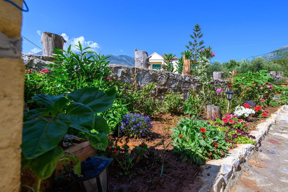 Property building, People, Natural landscape, Garden, On site, Guests, Garden view, Mountain view, Location, group of guests, Inner courtyard view