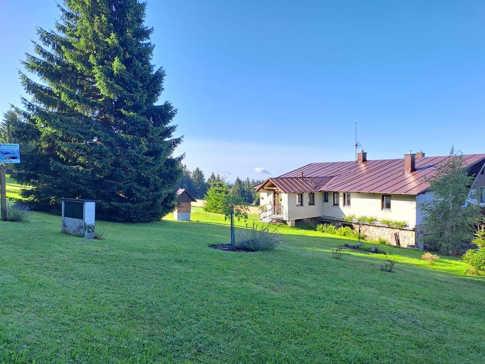 Off site, Garden