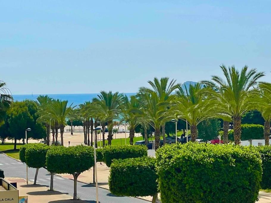 Sea view