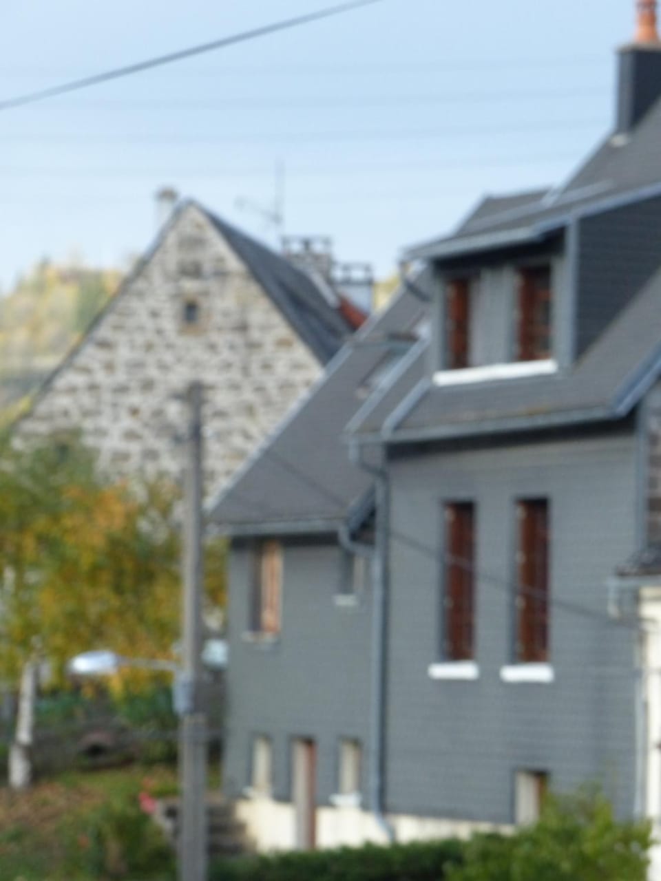 Villa Bella à 300 m du Parc Fenestre House in Auvergne-Rhône-Alpes