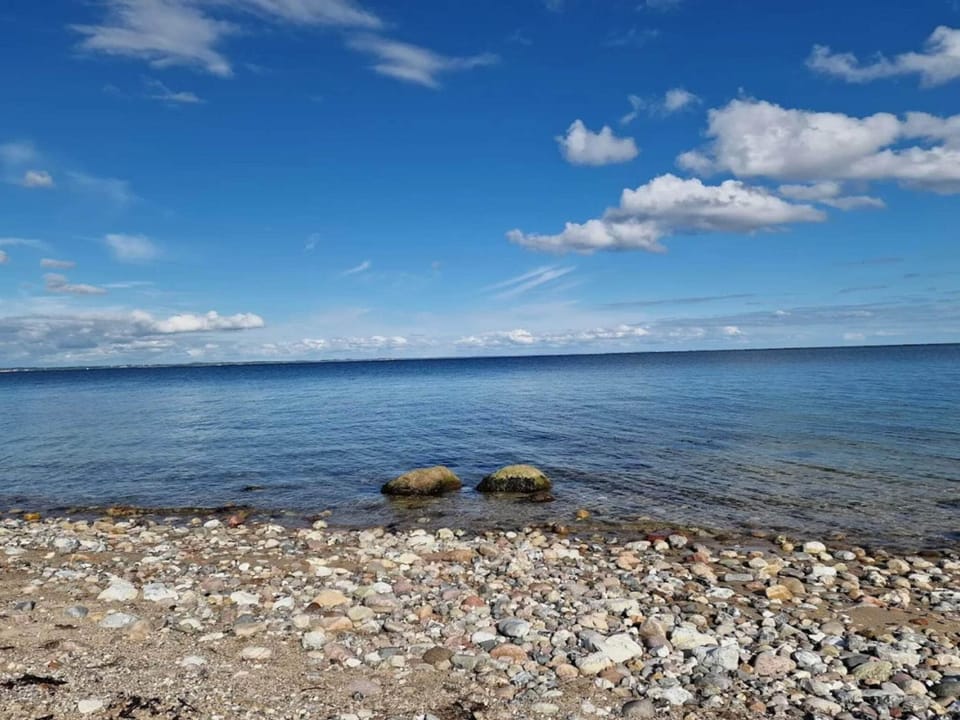 Lake view