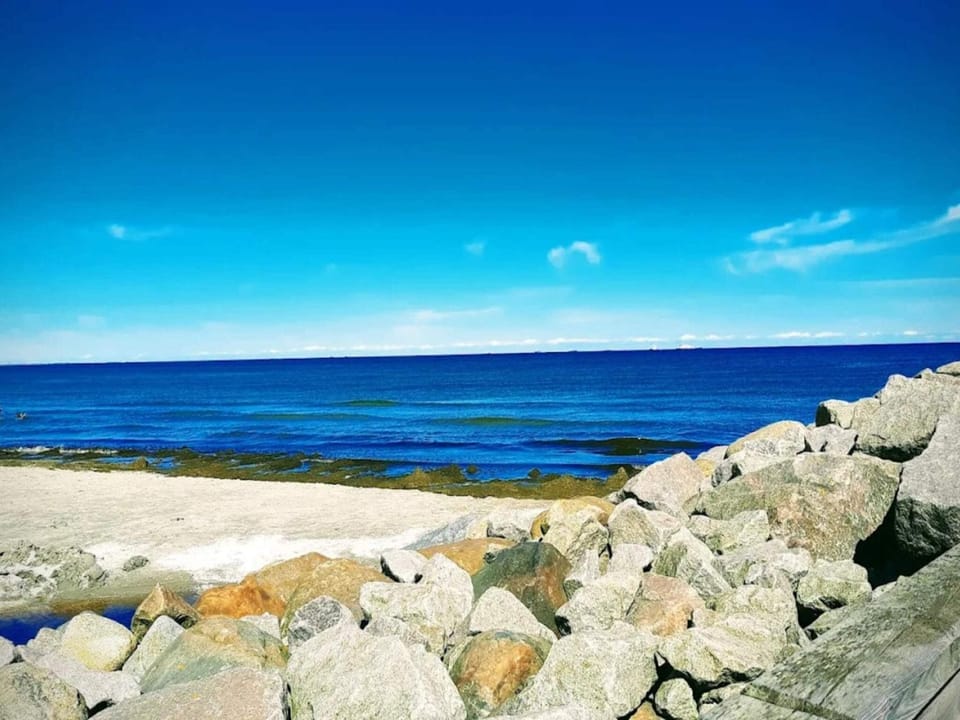 Lake view