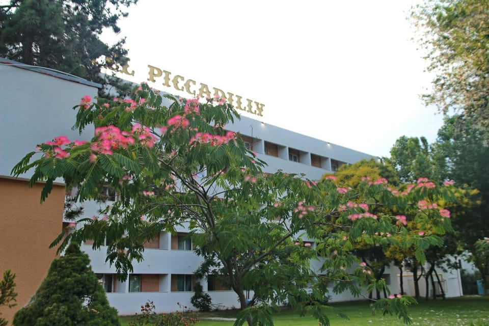 Property building, Day, Garden view