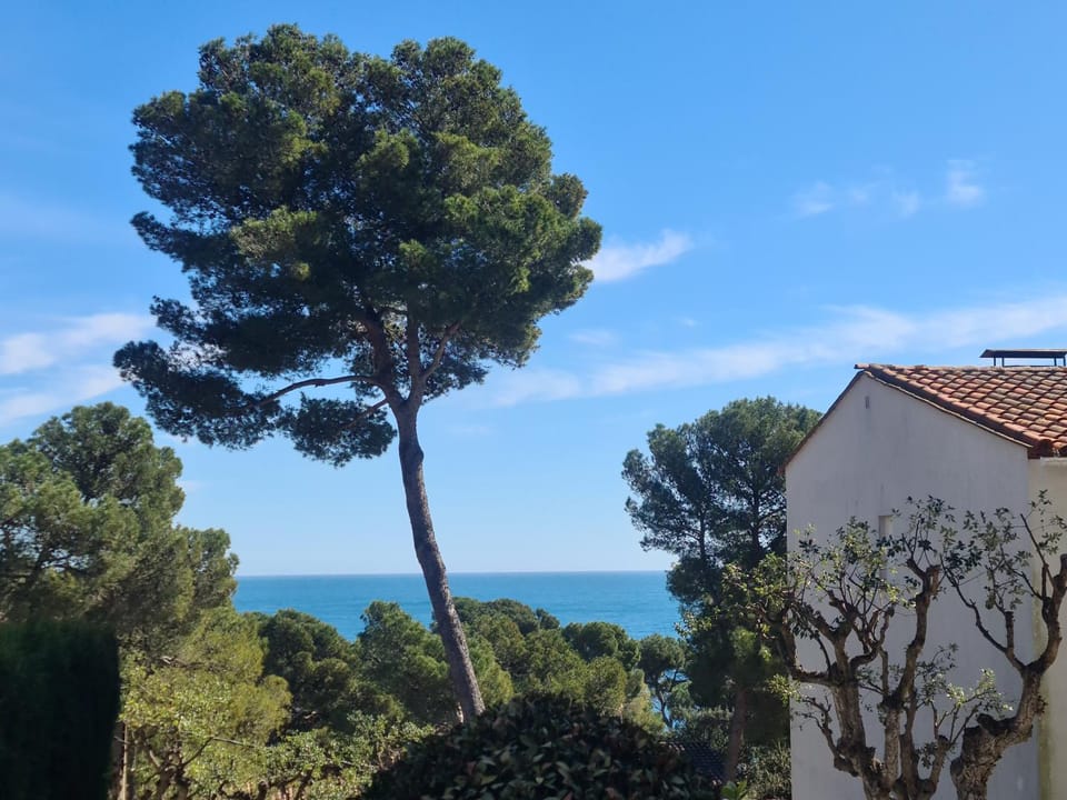 Spring, Sea view, Sea view