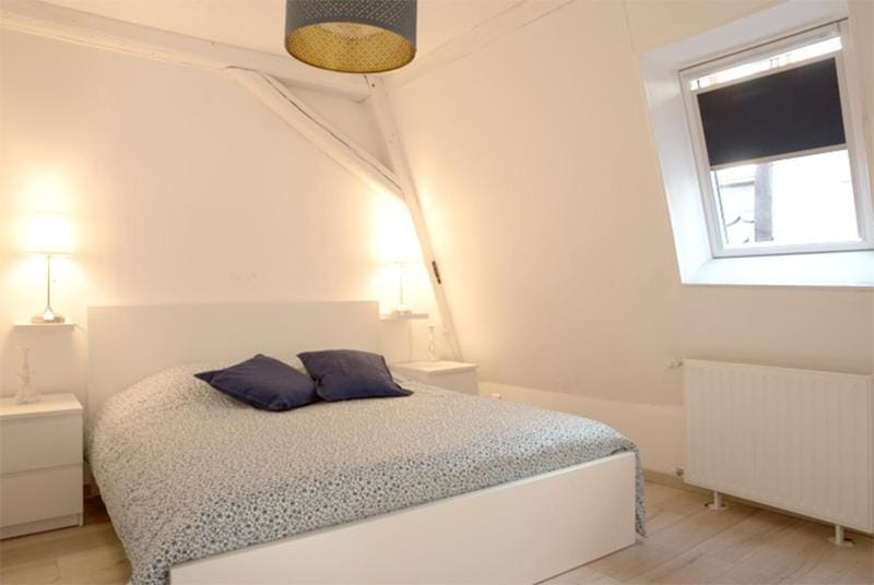 Petite Venise Grand Duplex Turenne Hyper Centre House in Colmar