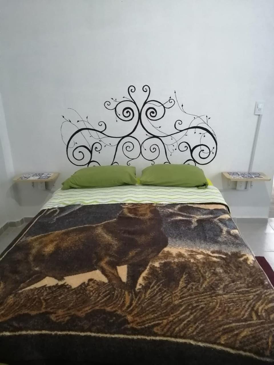 Photo of the whole room