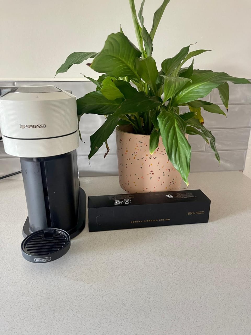 Heritage Cottage in Sandy Bay House in Tasmania