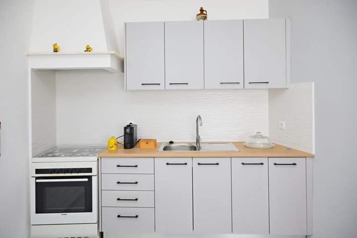 Kitchen or kitchenette, minibar, pet friendly