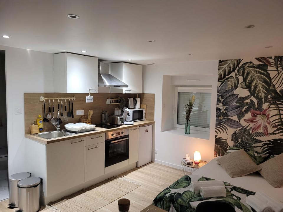 Coffee/tea facilities, Kitchen or kitchenette, minibar, pet friendly, stove, toaster